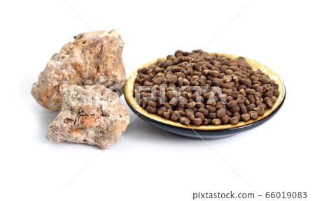 Abelmoschus moschatus or Ambrette Seed with 66019083