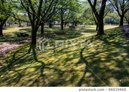 春天風景 春天風景 66019468