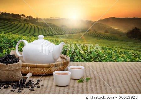 Warm cup of tea with teapot, green tea leaves and dried herbs on the bamboo mat at morning in plantations background with empty space, Organic product from the nature for healthy with traditional Warm cup of tea with teapot, green tea leaves and dried herbs on the bamboo mat at morning in plantations background with empty space, Organic product from the nature for healthy with traditional 66019923