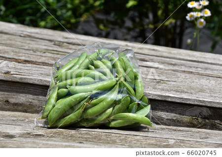 Snap peas Snap peas 66020745