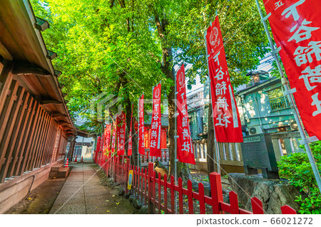 東京上野下穀神社的城市景觀 東京上野下穀神社的城市景觀 66021272