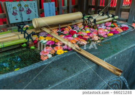 東京上野下穀神社的城市景觀 東京上野下穀神社的城市景觀 66021288