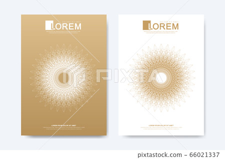 Modern Vector Template For Brochure Leaflet Stock Illustration 66021337 Pixta
