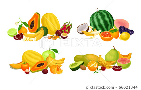 Exotic Fruits Composition with Banana Bunch and Papaya Vector Set 66021344