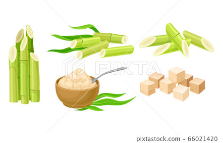Sugar Cane Unbranched Stems with Leaves and Superfood like Brown Granulated Sugar Vector Set 66021420