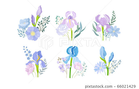 Floral Compositions with Purple Iris Flower and Flowering Twigs Vector Set Floral Compositions with Purple Iris Flower and Flowering Twigs Vector Set 66021429