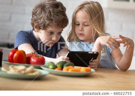 Smart little siblings use modern smartphone together 66022755