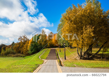 autumn park with beautiful yellow leaves autumn park with beautiful yellow leaves 66022794