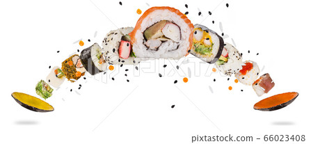 Pieces of delicious japanese sushi frozen in the 66023408