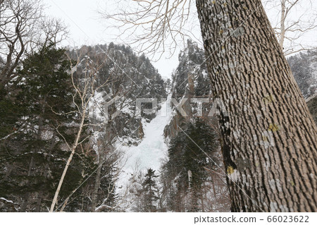 Hokkaido Winter Sounkyo Daisetsuzan National Park Ginga no Taki Hokkaido Winter Sounkyo Daisetsuzan National Park Ginga no Taki 66023622