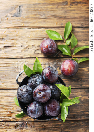 Sweet red plums Sweet red plums 66023850