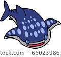 鯨鯊 66023986