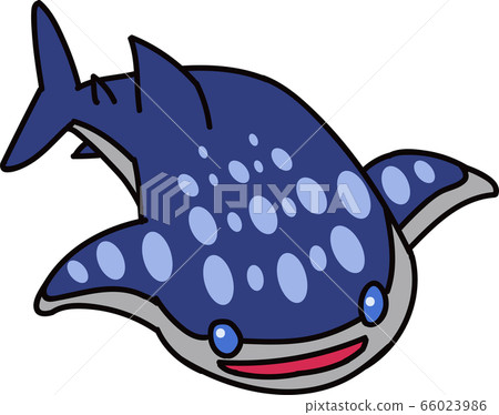 鯨鯊 66023986