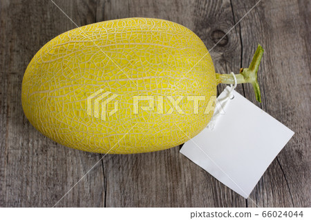Orange melon on wood table with white lable 66024044