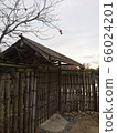 Japanese house and persimmon 66024201