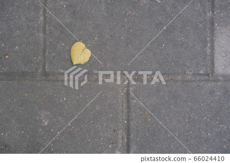 Abstract background of yellow leaf with a copy Abstract background of yellow leaf with a copy 66024410