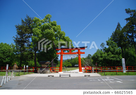 Kamigamo Shrine, a vermilion torii that shines in the blue sky 66025565