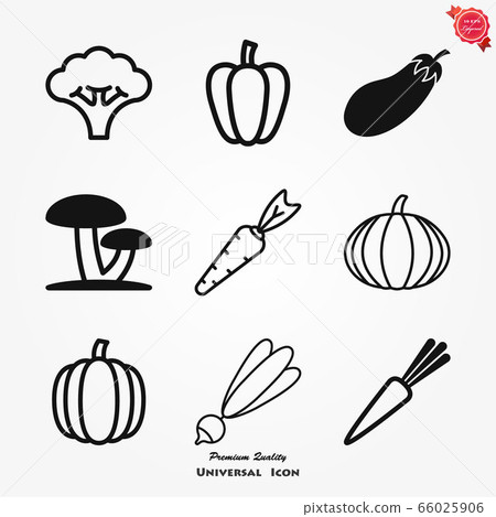 Vegetables vector icon, symbol isolated on Vegetables vector icon, symbol isolated on 66025906