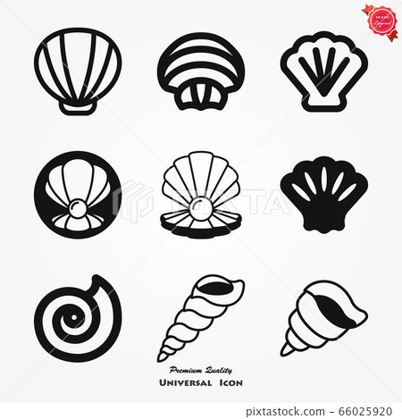 Shell icon, sea animal symbol isolated on 66025920