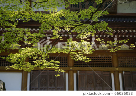 Onomichi Eiheiji 66026058