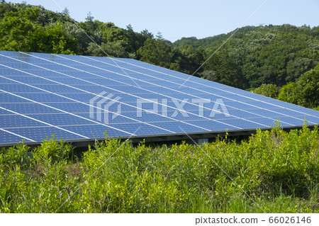太陽能電池板郊區森林 太陽能電池板郊區森林 66026146