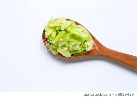 Fresh moringa oleifera seeds on white 66026459