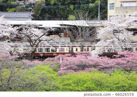 Watarase Gorge Railway以“新鮮的綠色，櫻花的粉紅色，白色”的三種顏色 66026559