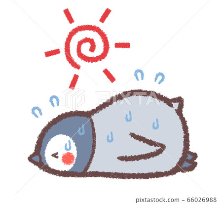 Heatstroke penguin chick 66026988