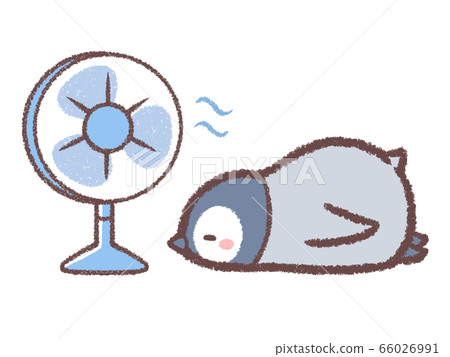 Heat stroke countermeasure penguin chick 66026991