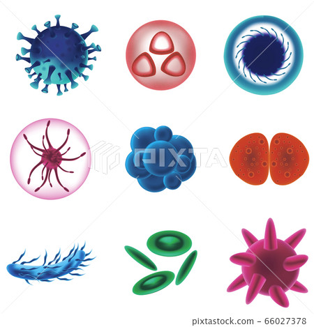 Realistic Detailed 3d Various Viruses Bacteria... - Stock Illustration ...