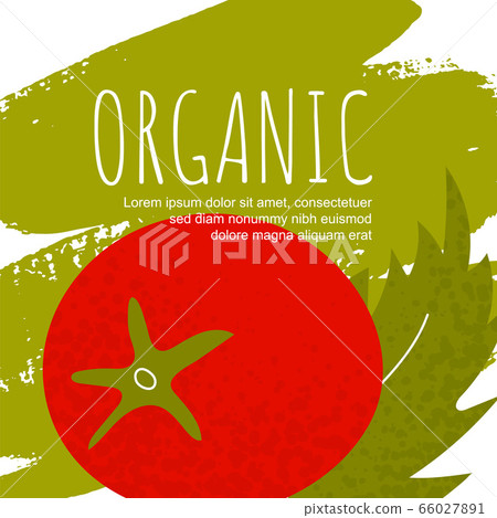 Oragnic tomato vector poster Oragnic tomato vector poster 66027891