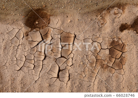 Dry ground Dry ground 66028746