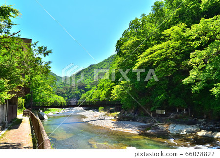 鹽原溫泉，掃帚河和福藤不動吊橋迎來了新鮮的綠色季節 66028822