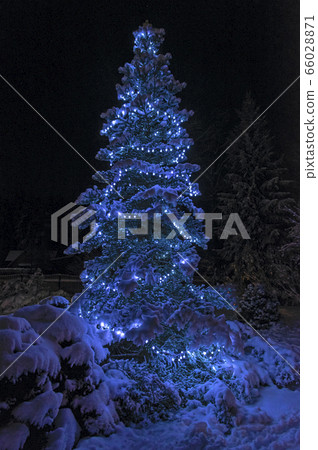 Christmas tree with bright festive blue lights  66028871