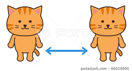 社交距離的貓 66028900