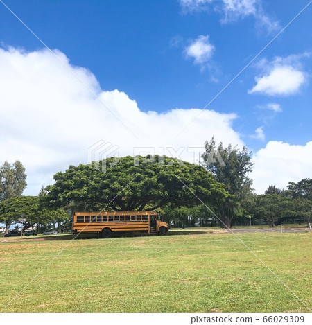 校車 方形 露天市場 66029309