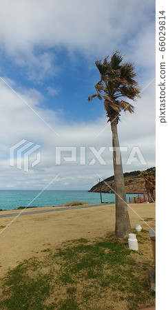 濟州咸德海灘 濟州咸德海灘 66029814
