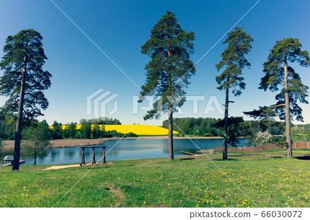 Pines and swings by the lake Pines and swings by the lake 66030072