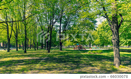 Empty Riga parks in sunny spring Empty Riga parks in sunny spring 66030078