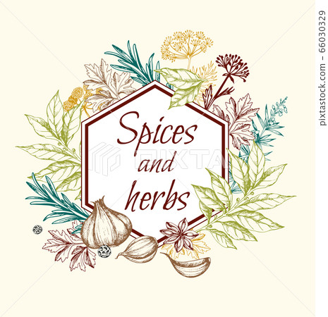 Floral background with spices and herbs. Floral background with spices and herbs. 66030329