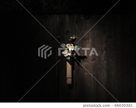 Photo of camellia vase 66030381