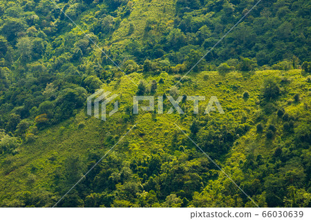 Landscape nature in Phu Thap Boek Thailand. Landscape nature in Phu Thap Boek Thailand. 66030639
