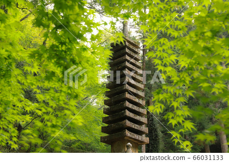 Mt. Mt. Mt. Mt. 66031133