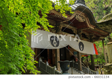 Mt. Mt. Mt. Mt. 66031134