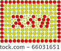 The pattern of watermelon 66031651