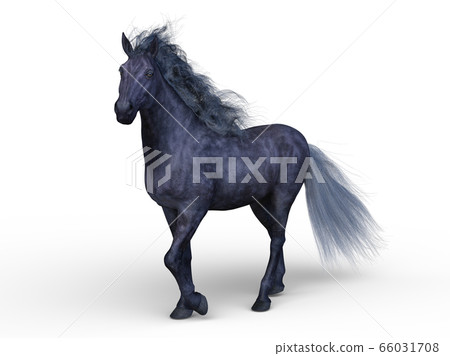 Horse Horse 66031708
