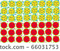 The pattern of watermelon 66031753