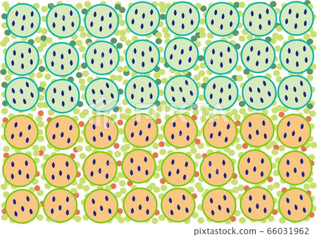 西瓜的圖案 66031962