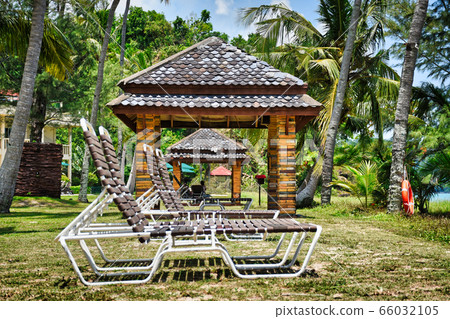 Giant stunning coconut palm tree with a massage hut and deck chairs under the beautiful blue sky on the shores of the sandy beautiful exotic and stunning Cenang beach in Langkawi island, in Malaysia 66032105