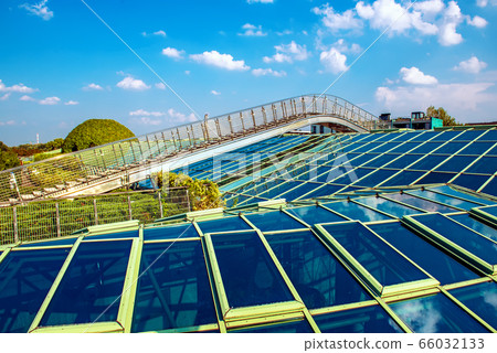 Warsaw library garden 66032133